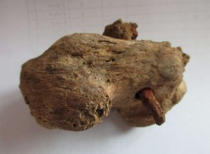 dig uncovers crucifixion