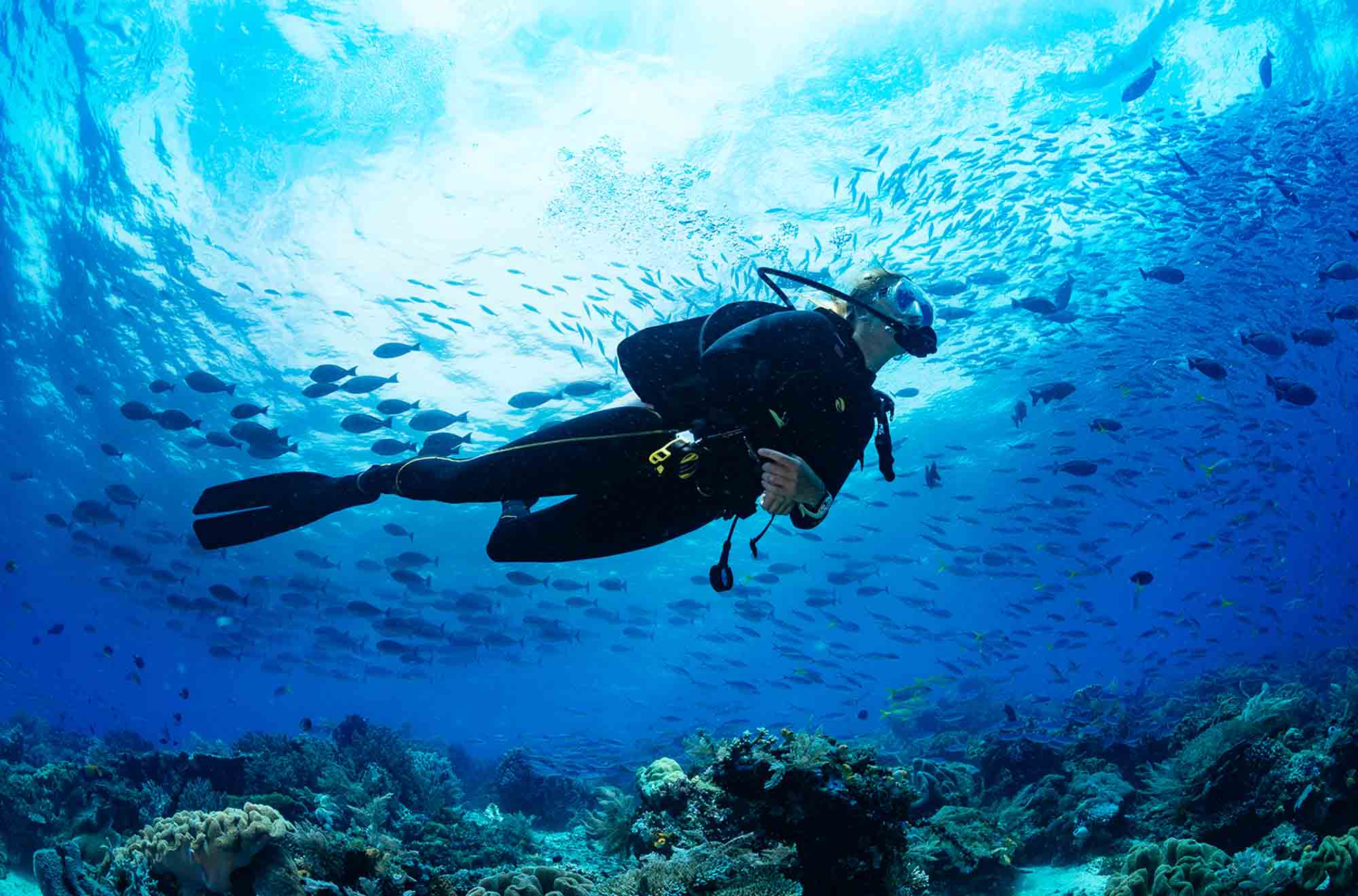 oceanic app