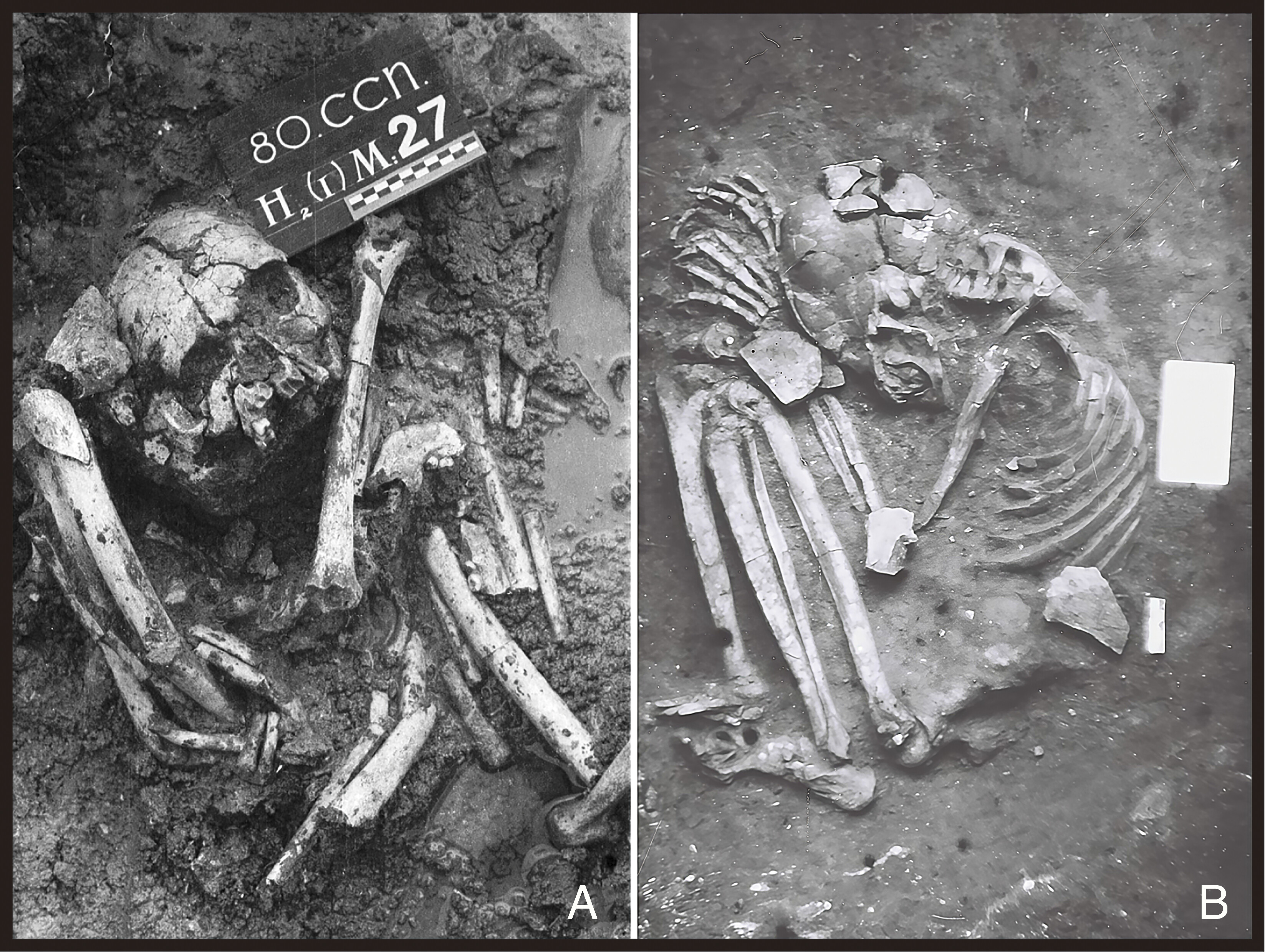 A pair of remains, curled up