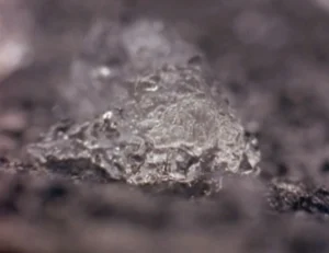 An Oakville Blob